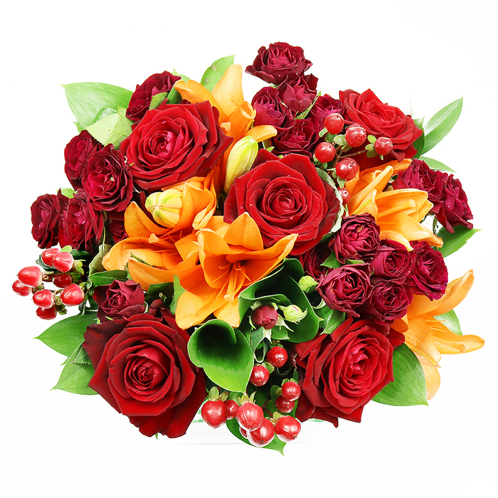Viewed from above against a flawless white backdrop, this compact, perfectly rounded bouquet presents a harmonious chorus of deep reds, vivid oranges, and fresh greens that feels both sumptuous and deliberately curated. Several large, fully bloomed deep red roses anchor the design, their velveteen petals curling outward to reveal layered centres that embody classic passion and tenderness. Interwoven are bright orange Asiatic lilies, whose trumpet shapes and visible stamens introduce sculptural drama; some are fully open, others are in the act of unfurling, which injects gentle energy and the promise of continued bloom. Abundant clusters of small, dark burgundy spray roses provide a dense, textured counterpoint, their tiny petals folding tightly to create a luxurious, jewel-like depth that harmonises beautifully with the larger roses. Glossy red hypericum berries are tucked through the arrangement, their spherical shine offering playful highlights and a satisfying contrast in both scale and texture. The green foliage - broad, glossy ruscus or salal leaves - frames the flowers, lending structure and a cooling backdrop that lets the warm tones sing. Under soft, even lighting, the colours read true and the tactile differences between petals, buds and berries are evident, inviting touch as well as sight. The imagined scent is layered: the deep, familiar perfume of roses with a crisp, spicy lift from the lilies and a faint green note from the foliage. Ideal for anniversaries, heartfelt congratulations or autumn celebrations in the local area, this bouquet projects both festive joy and considered elegance, the kind often requested by customers from Anerley to Norwood Junction for intimate gatherings or special deliveries.